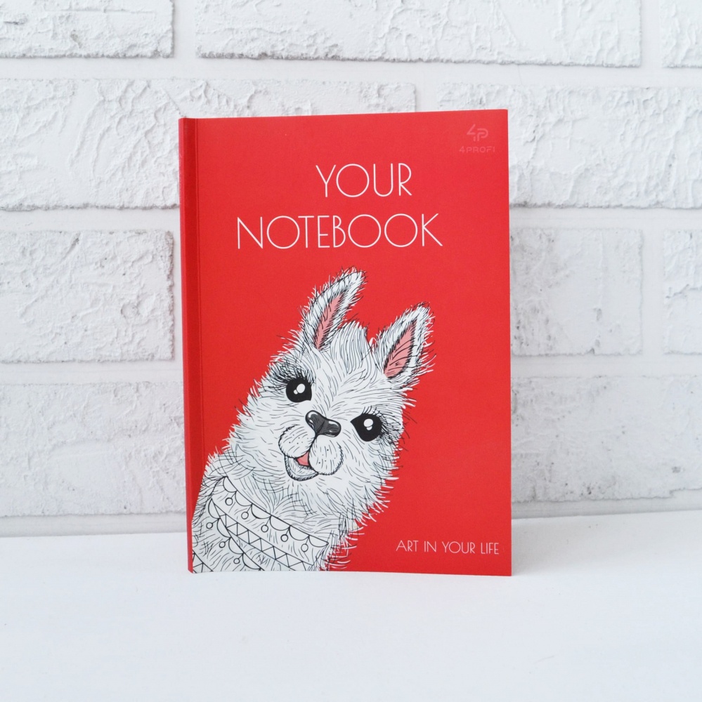 Блокнот TM Profiplan "Artbook" B6, rouge