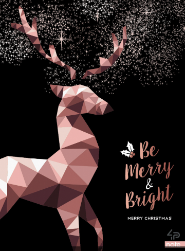Блокнот TM Profiplan "Christmas note" deer, А5																			