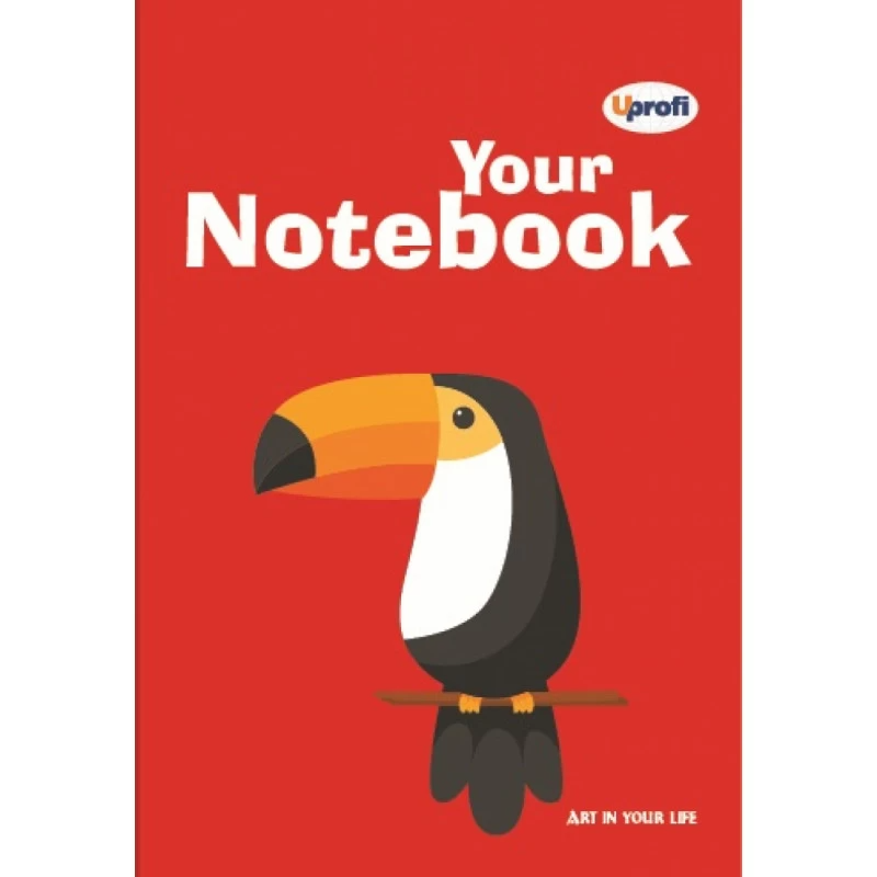 Блокнот TM Profiplan "Artbook" B6, red 50278	