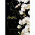 Блокнот TM 4Profi "Spring flowers" orchid, А5 - 1 - smarttoys.com.ua