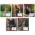 А5/24 кл. 1B Animals of Ukraine, зошит учнів. - 1 - smarttoys.com.ua