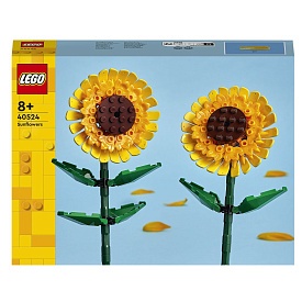 Конструктор Соняшники, 650 - 1 - smarttoys.com.ua