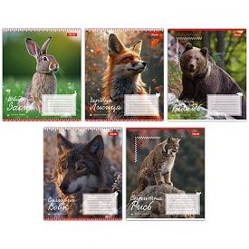 А5/24 лін. 1B Animals of Ukraine, зошит учнів. - 1 - smarttoys.com.ua